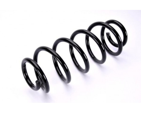 Coil Spring, Image 2