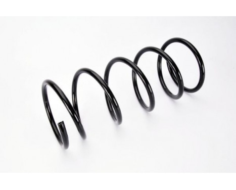 Coil Spring, Image 2