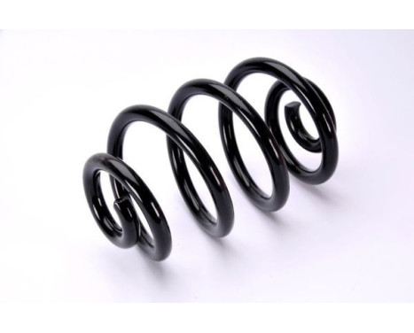 Coil Spring, Image 2