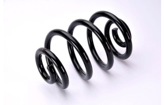 Coil Spring, Image 2