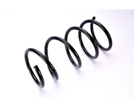 Coil Spring, Image 2