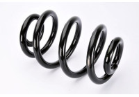 Coil Spring