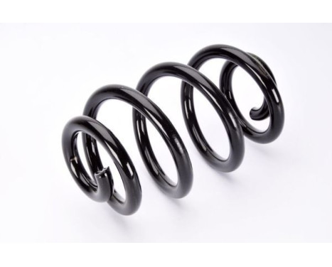 Coil Spring, Image 2
