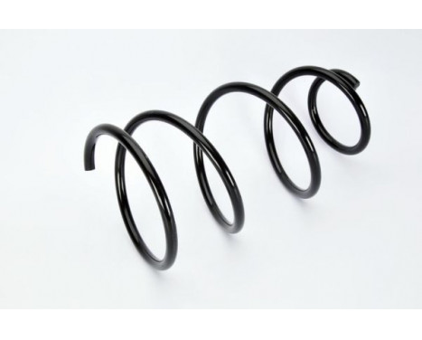Coil Spring, Image 2