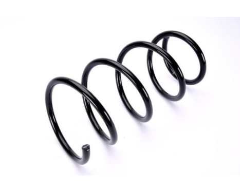 Coil Spring, Image 2