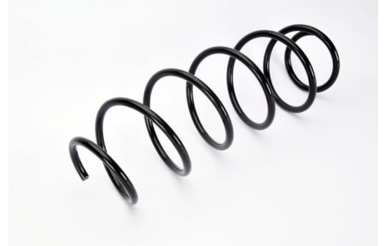 Coil Spring, Image 2