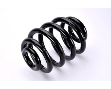 Coil Spring, Image 2