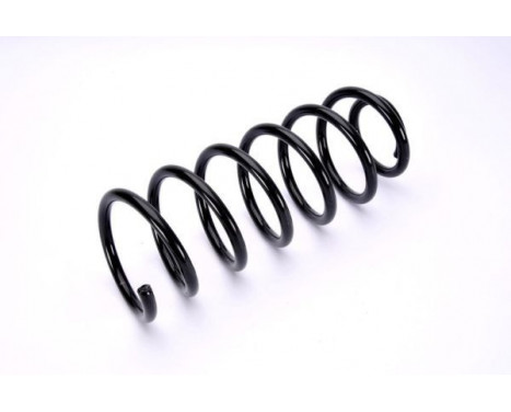 Coil Spring, Image 2
