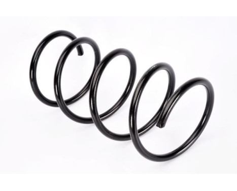 Coil Spring, Image 2