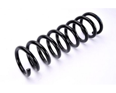 Coil Spring, Image 2
