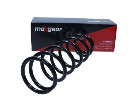 Coil Spring, Image 2