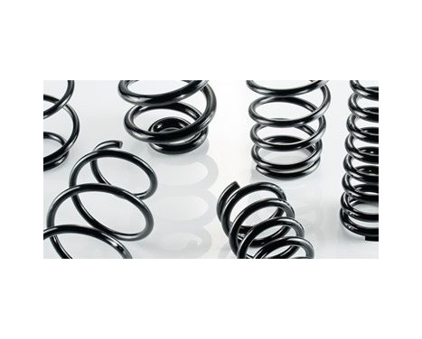 Coil Spring, Image 2
