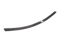 Leaf Spring