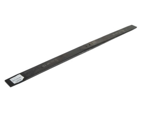 Leaf Spring