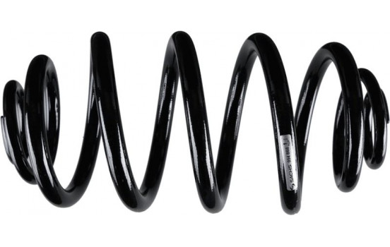 SACHS Spring 994 868