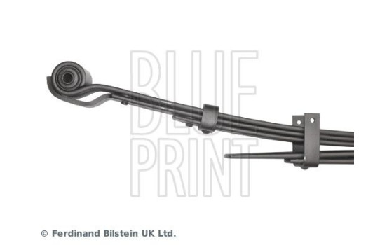 Spring Pack ADT38826 Blue Print, Image 4