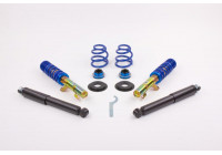 AP Helical set Audi A3 / Seat Leon / Skoda Octavia / VW Bora / Golf IV
