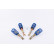 AP Screw set Audi A6 2/1997 / VW Passat 10 / 1996-