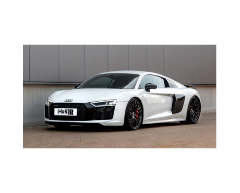 H&R Monotube Coilover suitable for Audi R8 Coupé & Spyder (4WD) excl. adaptive chassis 2015-, Image 2
