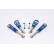 AP Helix set BMW 7-Series E38 10 / 1994-11 / 2001