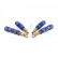 AP Screw set Honda Civic / CRX / Coupe 10 / 1995-