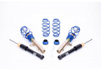 AP Screw set VW Beetle 10/2011 spring strut diam. 55mm fixed rear axle