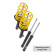 ST sports suspension kit