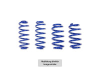 AP Lowering Springs Set