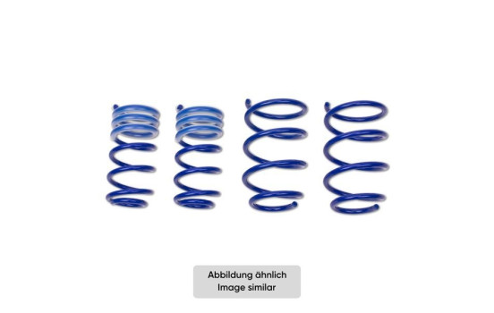AP Lowering Springs Set, Image 4