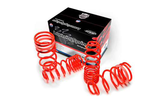 AutoStyle lowering springs Ford Transit Custom (V710) (Box) 2.0D LWB L2 (3300mm) 07/2023- 25/50mm