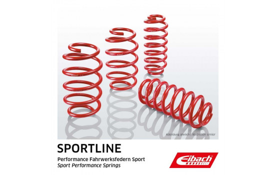 Chassis, springs