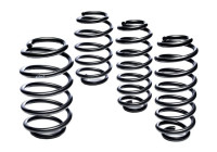 Chassis, springs