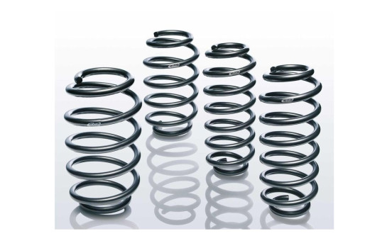 Chassis, springs