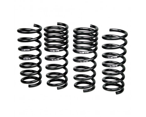 H & R Lowering Springs Nissan GT-R R35 08-30mm