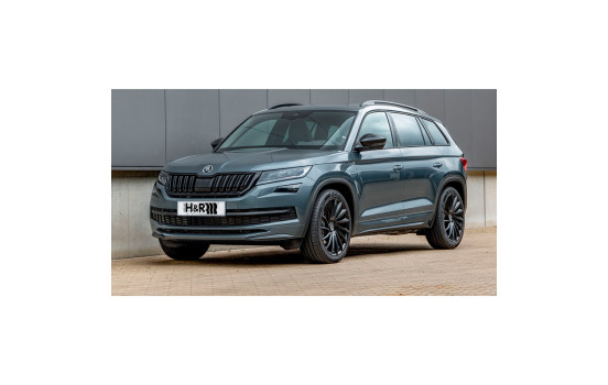 H&R lowering springs Seat Ateca / Volkswagen Tiguan / Skoda Kodiaq 4WD 2016- VA30 / AA30mm, Image 2