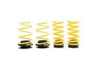 ST Height-adjustable lowering springs