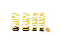 ST Height-adjustable lowering springs