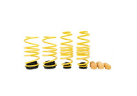ST Height-adjustable lowering springs
