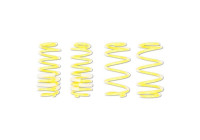 ST lowering springs