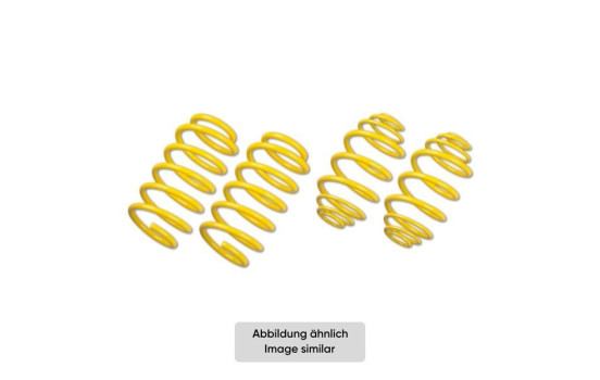 ST lowering springs