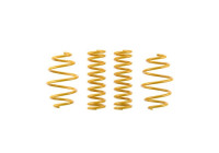 ST lowering springs