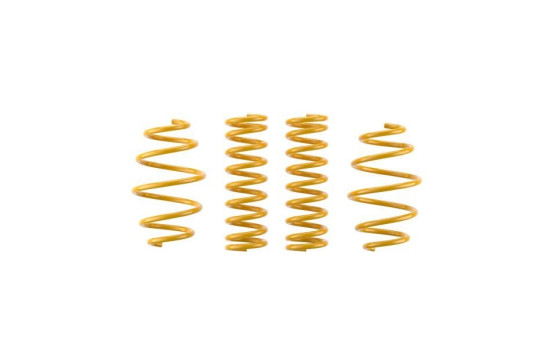 ST lowering springs