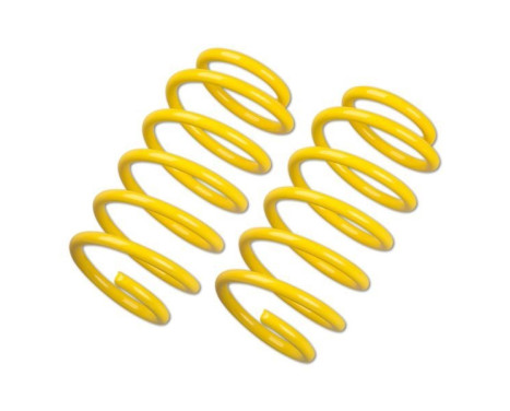 ST lowering springs