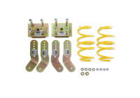 ST lowering springs