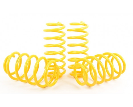 ST Suspensions lowering springs