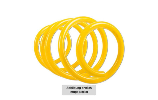 ST Suspensions lowering springs, Image 4