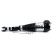 Air Spring Strut AS-3163 Arnott, Thumbnail 4