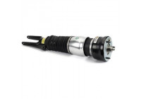 Air Spring Strut AS-3346 Arnott