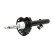 Shock absorber 11-1624 Maxgear