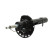 Shock absorber 11-1625 Maxgear